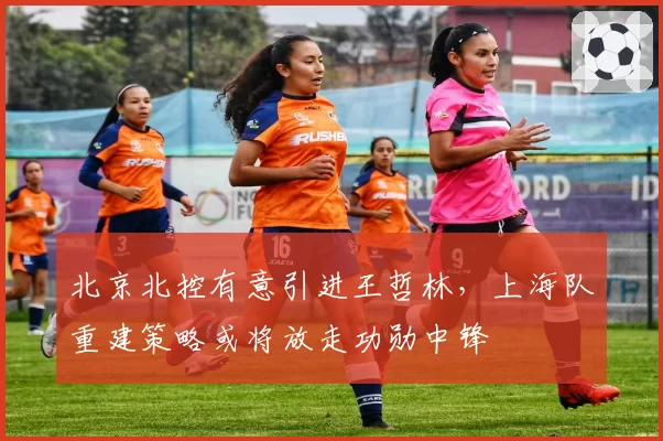 北京北控有意引进王哲林，上海队重建策略或将放走功勋中锋